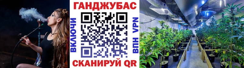 Бошки марихуана гибрид  Игарка 